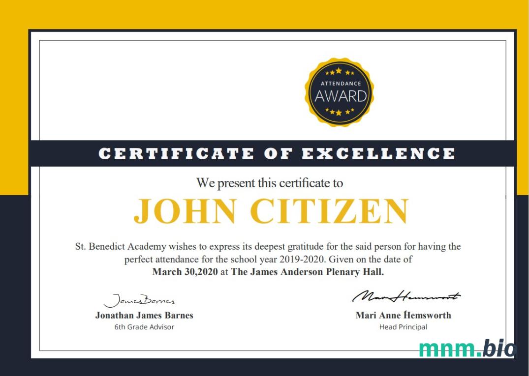 USA School Attendance cert